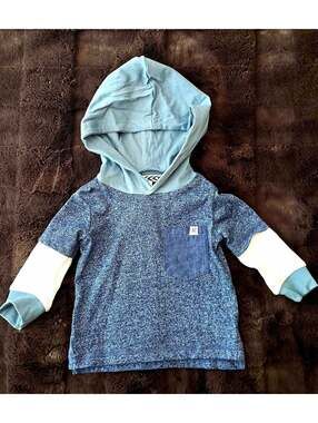 Sovereign Code 12-18M Colorblock Hooded Pullover Blue Cotton From NORDSTROM